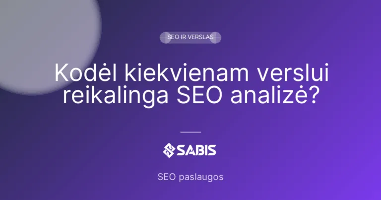 Kodėl kiekvienam verslui reikalinga SEO analizė?