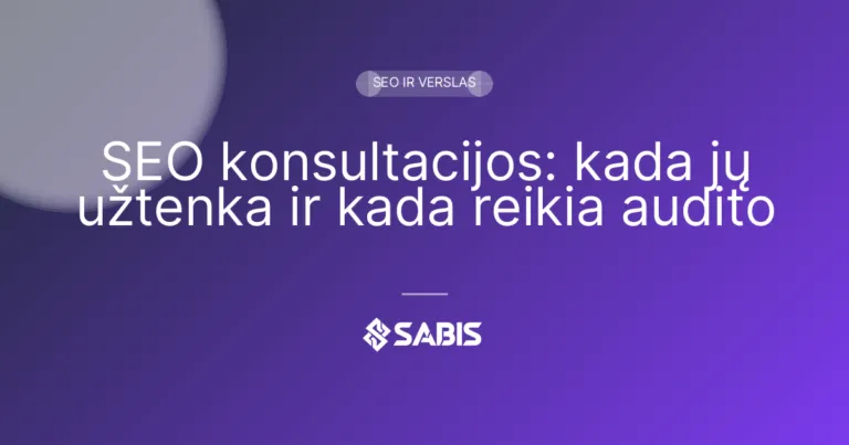 SEO konsultacijos: kada jų užtenka ir kada reikia audito