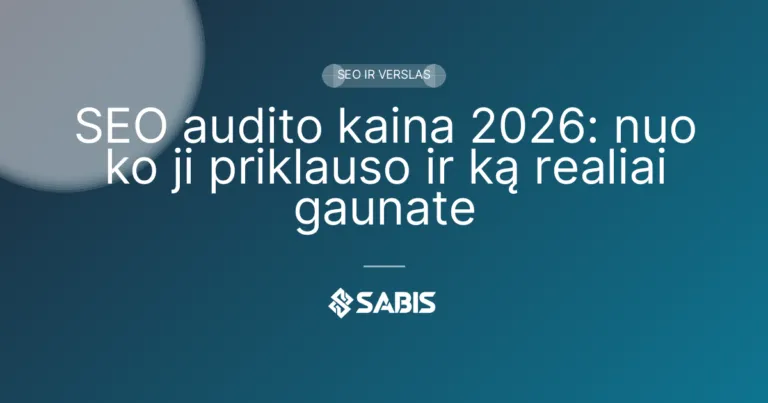 SEO audito kaina 2026: nuo ko ji priklauso ir ką realiai gaunate